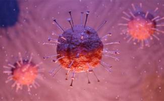 Het coronavirus en overmacht: wel of niet van toepassing?
